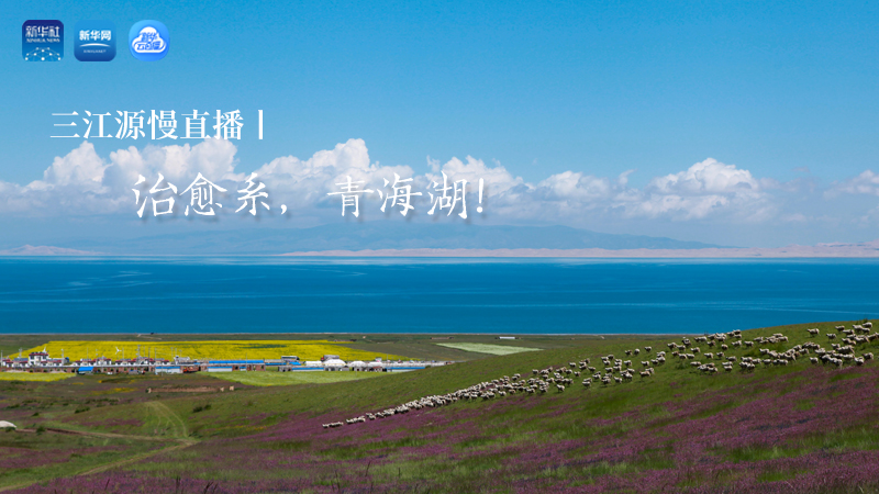 三江源慢直播丨治愈系，青海湖！
