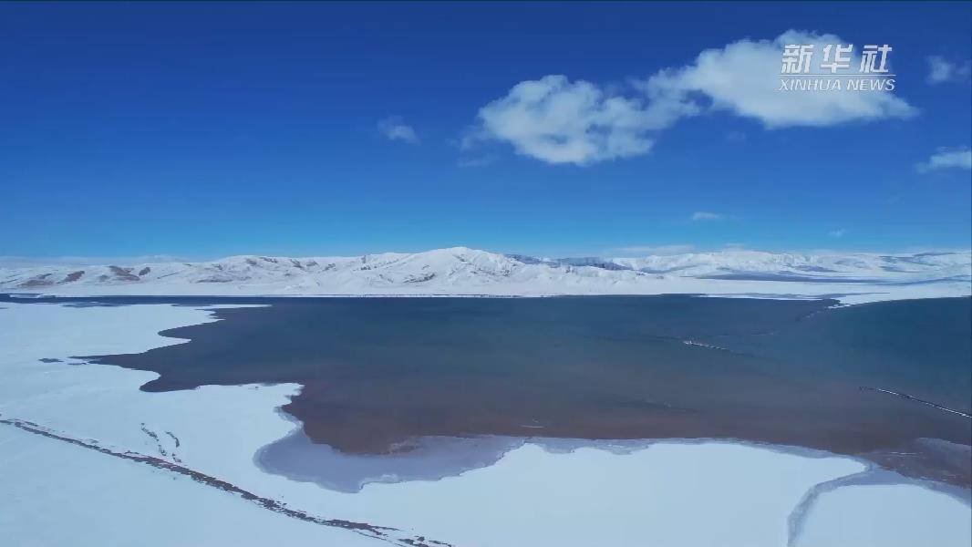 青?，敹啵憾喾N珍稀野生動物亮相黃河源頭
