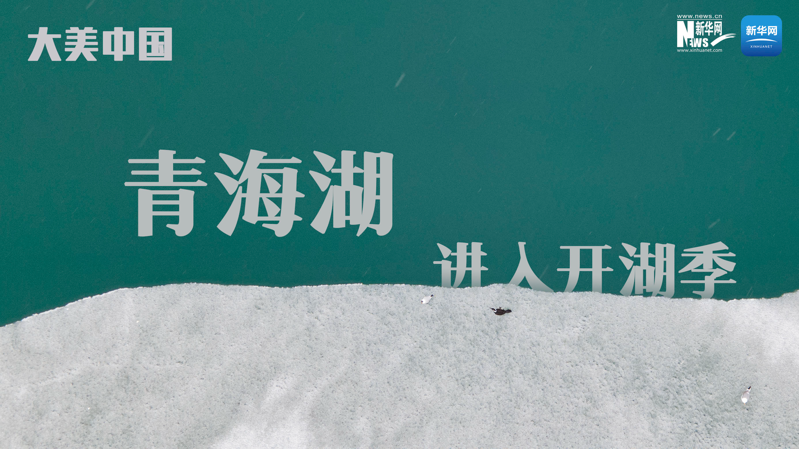 大美中國丨青海湖進入&ldquo;開湖季&rdquo;