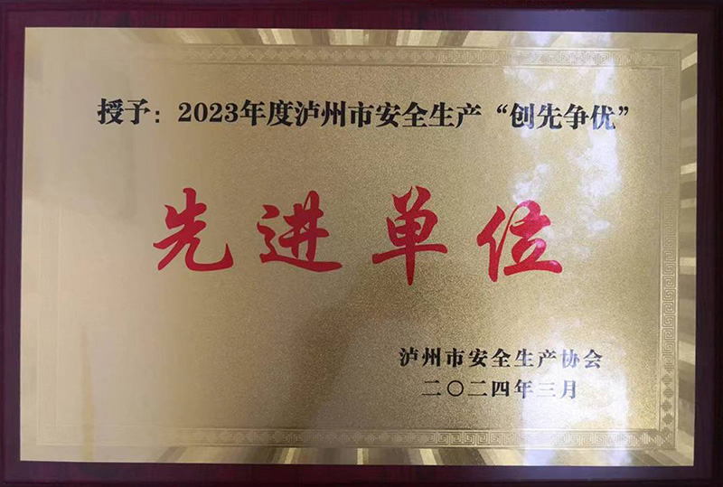2023年度瀘州市安全生產“創(chuàng)先爭優(yōu)”先進單位(圖1)