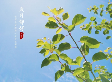 愿歲月靜好，山河無(wú)恙